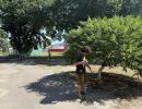 Летнее трудоустройство несовершеннолетних